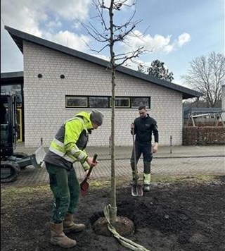 Baum3